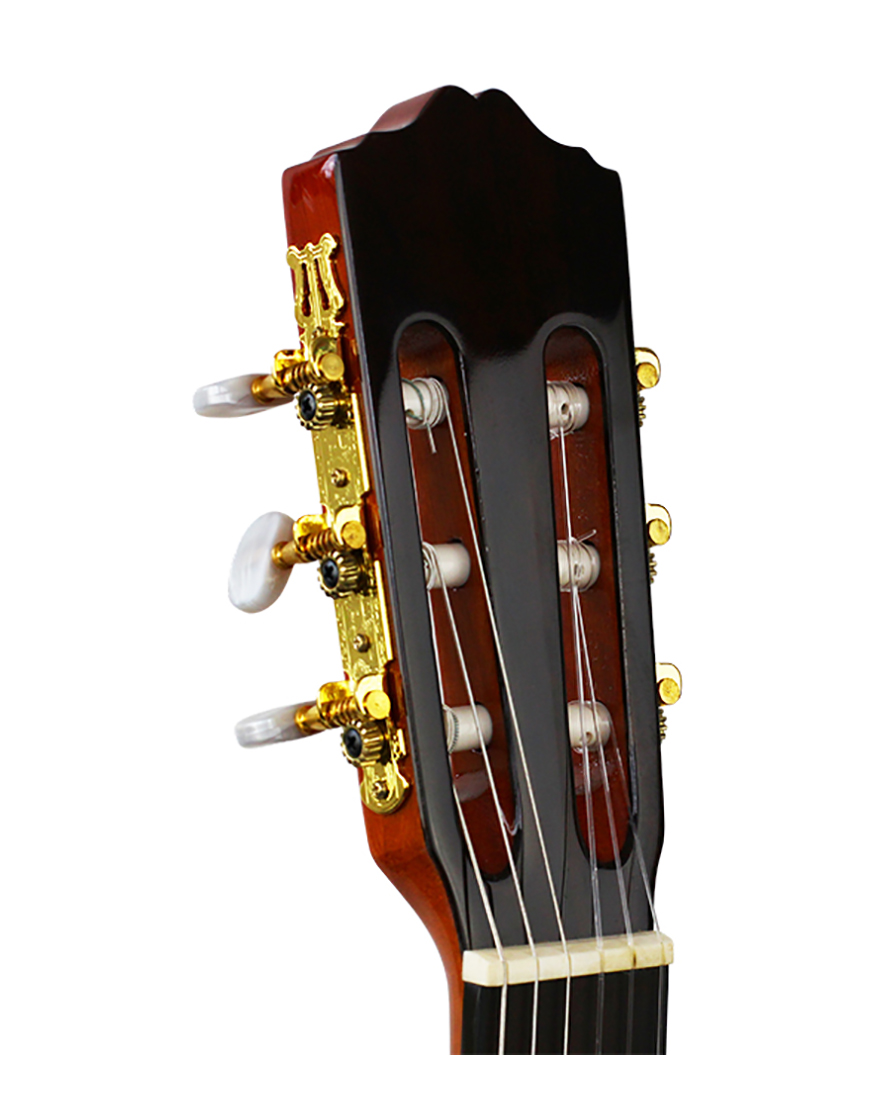 * Classical guitar for Sale in Hobart Axiom Segovia